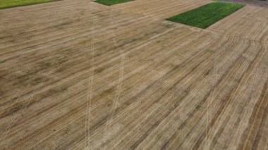 Splendid scene of agricultural land in summer. Footage from a birds eye view. Agronomic industry. Agrarian region of Ukraine, Europe. Cinematic drone shot. Filmed in UHD 4k video. Beauty of earth
