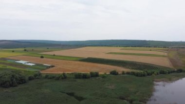 aerial view of geometric figures on agricultural fields with different crops. drone flight over agro lands divided into many parts with different colors. High quality 4k footage