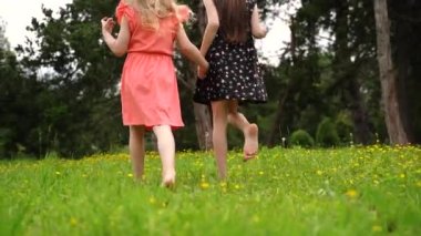 Sisters Hold Hands And walk In Slow Motion Through Beautiful Meadow.