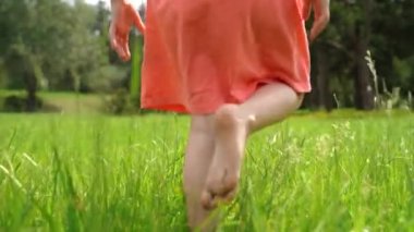 Unknown girls walk on green meadow at sunrise time. Rear view of female kid legs walking in city park. Unrecognizable child in pink dress playing in garden. High quality FullHD footage