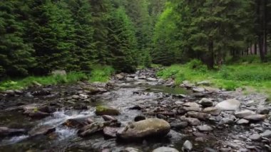 AERIAL: Water flows through the stones. The sun shines through the trees. Willows along the creek. High quality 4k footage