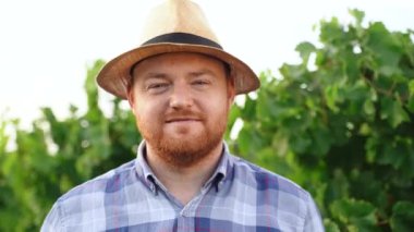 Authentic close up shot of happy male farmer or winemaker is smiling satisfied with results of grape harvesting in vineyard for further high quality wine production. High quality 4k footage