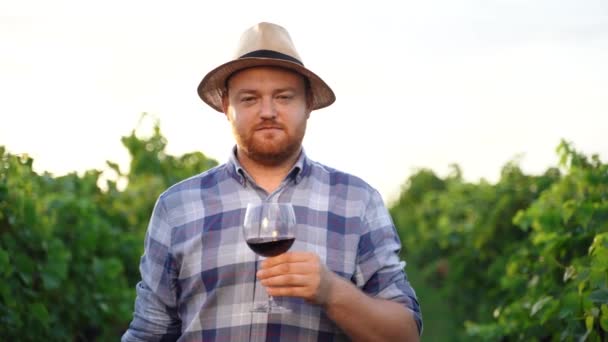Young Positive Sommelier Mixing Red Wine Glass Evaluating Color Tasting — Stok video