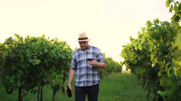 真正的成功男性酿酒师的照片 红酒的品质被倒入透明的酒杯中 倒在葡萄园里 高质量的4K镜头 — 图库视频影像