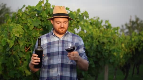 Autentyczne Ujęcie Udanego Męskiego Winiarza Czerwonego Wina Wlanego Przezroczyste Szkło — Wideo stockowe