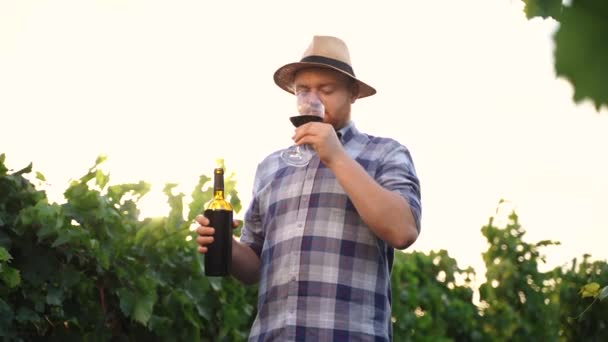Аутентичный Снимок Счастливого Успешного Мужчины Винодела Дегустирует Вкус Проверяет Качество — стоковое видео