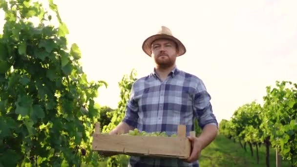 一个英俊的乡下人走在葡萄园里 提着装满葡萄的木篮 高质量的4K镜头 — 图库视频影像