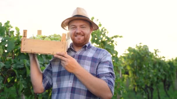Ein Bauer Reicht Eine Kiste Mit Weißen Trauben Steht Vor — Stockvideo