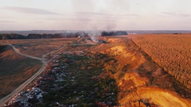 小麦种植园附近的垃圾填埋地 将垃圾倾倒在禁区内 农业和垃圾 土壤和作物污染 高质量的4K镜头 — 图库视频影像