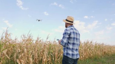 Tarlada dikilen ve mısır tarlasının yanında uçan insansız hava aracını kontrol eden bir çiftçinin arka görüntüsü. Tarım teknolojileri. Artırmak için teknolojik yenilikleri kabul et
