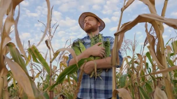 Vista Jovem Trabalhador Agrícola Olhando Para Câmera Saindo Milho Enquanto — Vídeo de Stock