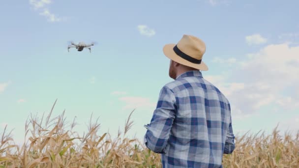 Крупный План Человека Фермера Стоящего Поле Управляющего Беспилотником Летящим Над — стоковое видео