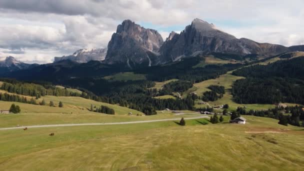 Alpe Suisi Dolomites Italy Aerial Drone View Alpine Meadow Idyllic — Stock Video