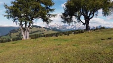 Alpe di Suisi, Dolomitler. İtalya 'daki Alpine Meadow Dağı Platosu' nun insansız hava aracı görüntüsü. Güney Tyrol 'daki Seiser Alm Vadisi' nde gündoğumu manzarası. Avrupa. Yüksek kalite 4k görüntü