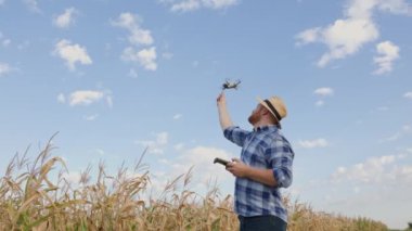 Tarlada dikilen ve mısır tarlasının yanında uçan insansız hava aracını kontrol eden bir çiftçinin arka görüntüsü. Tarım teknolojileri. Artırmak için teknolojik yenilikleri kabul et