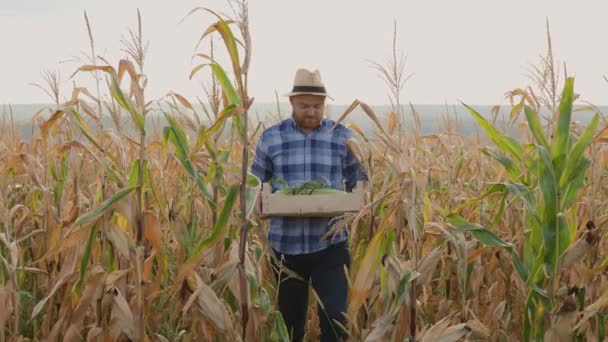 Κοιτάζοντας Μπροστά Την Κάμερα Νεαρός Αγρότης Γεωπόνος Στέκεται Ένα Χωράφι — Αρχείο Βίντεο