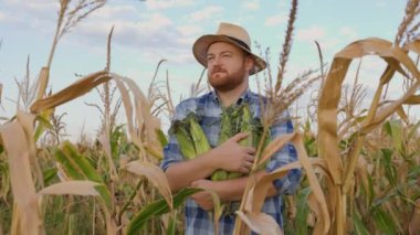 Hasatı sıkıca tutarken mısırdan çıkan genç çiftlik işçisinin ön görüntüsü. Tatmin olmuş bir gülümseme ve tatmin yüzüyle. Hasat zengin. İş tam gaz ilerliyor.