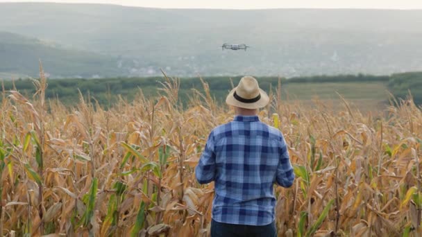 Вид Человека Фермера Стоящего Поле Управляющего Беспилотником Летящим Над Полей — стоковое видео