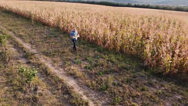 Imagens Aéreas Vista Com Drone Agricultor Com Caixa Milho Lado — Vídeo de Stock