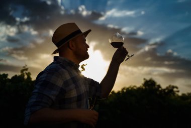 Batan güneşe karşı bir kadeh şarap tutan bir çiftçinin silueti.