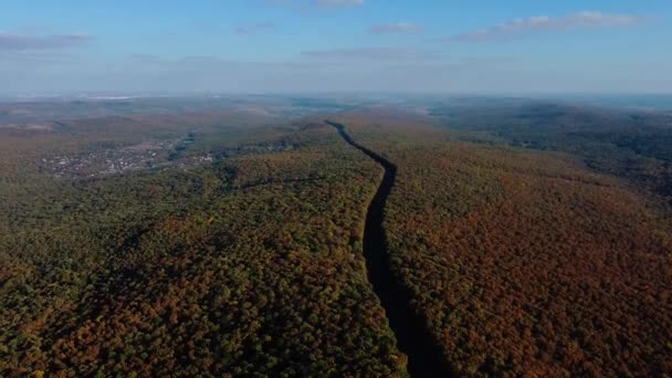 Воздух Сверху Вниз Вид Гравийную Дорогу Лесу Осенью Туманное Утро — стоковое видео