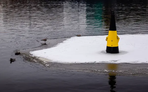 Boya Amarilla Sobre Témpano Hielo — Foto de Stock