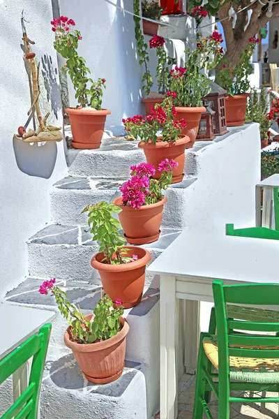 Традиційні Сходи Квітковими Горщиками Зеленим Кріслом Острові Ано Куфонісі Греція — стокове фото