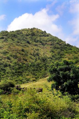 1dağ ve bulutlar muson mevsiminde gökyüzü manzarası Gir Ormanı Ulusal Parkı ve Sığınak Gujarat Hindistan 'da