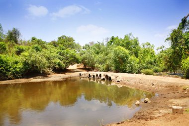 Güzel manzara yeşil ağaç ve nehirde akan su, küçük köprü, Hiran nehri. Sasan Gir. Gujarat. Hindistan. Gir Milli Parkı 'nın manzarası. Yaban Hayatı Sığınağı 'nın İçindeki Anlatılmamış Yol.