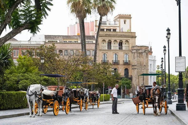 Siviglia, 15 febbraio 2021: carrozze parcheggiate in centro in attesa di clienti. — Foto Stock