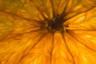 Kapalı alanda turuncu bir makro çekim..