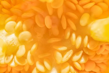 Biberin İçinin Macro Fotoğrafı