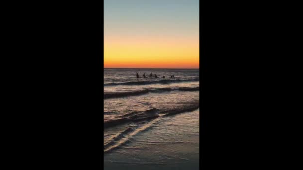 Silueta Skupiny Lidí Hrajících Soumraku Pláži Míček Statické Video — Stock video