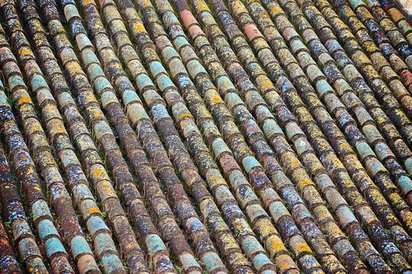 Texture and pattern of shingles on a roof. Colored shingles weathered with moss due to time and humidity.