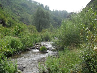 Altai dağlarındaki dağ deresi