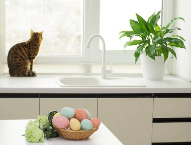 Pencere arkası güllerle dolu Paskalya yumurtaları. Bengal kedisi pencereden dışarı bakıyor..