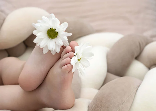 Menschen Kind Kleine Babyfüße Mit Weißer Kamille Den Zehen Nahaufnahme — Stockfoto