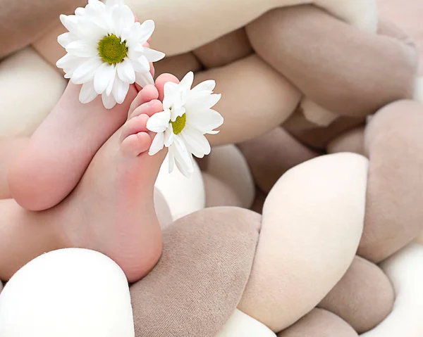 Gente Criança Pequenos Pés Bebé Com Camomila Branca Nos Dedos — Fotografia de Stock