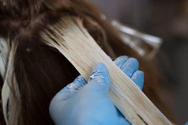 Hairdresser Blue Gloves Dyes Brown Hair White Concept Soft Focus — Stock fotografie