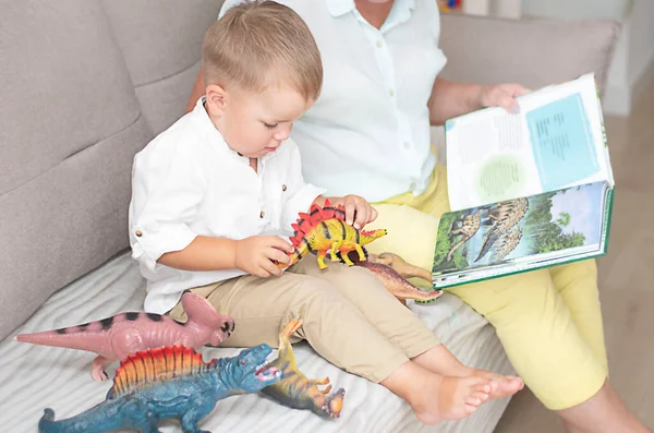 Family Concept Little Caucasian Boy Learns Name Dinosaurs Book Together Stok Resim