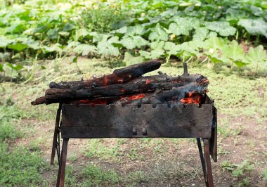 Fire. Burning firewood lies in a metal brazier and burns. Nature, fresh air. Summer. Close-up. Soft focus.