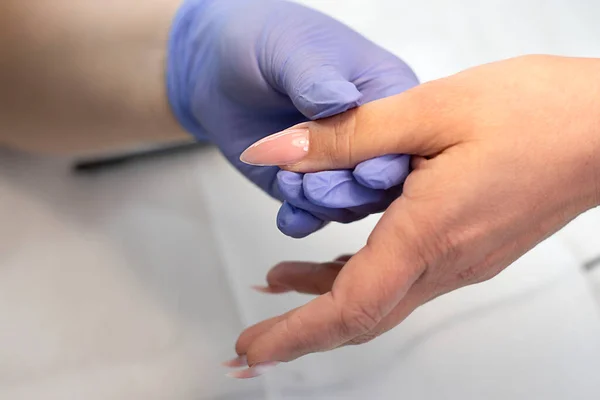 Manicurist Latex Lilac Gloves Varnishes Brush Long Beautiful Nails Client — Fotografia de Stock