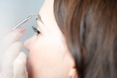 Master make-up artist paints eyebrows brown to a beautiful young caucasian girl in a beauty salon. Close-up. Soft focus. Concept.