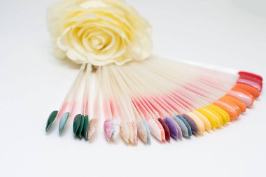 Eşyalar. Beyaz arka planda rengarenk oje renginde bir palet. Yumuşak odaklanma. Yakın plan. Manikür. konsept