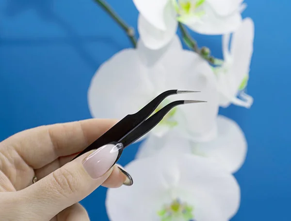 Profesionální Manikúra Černé Kleště Ženské Ruce Proti Bílé Orchidej Modrém — Stock fotografie