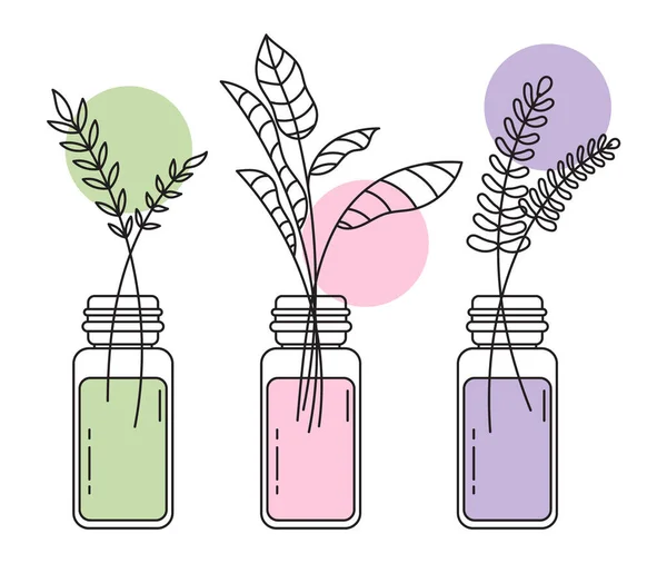 一套附有花卉和植物的插图 叶在罐子里 花瓶里 化妆品的标志 白色背景上孤立的装饰元素 — 图库矢量图片