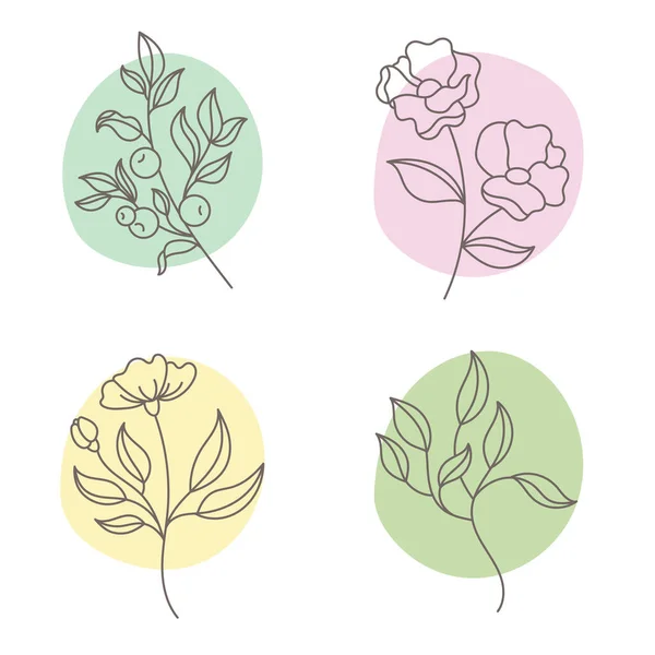 花や植物とイラストのセット 葉と抽象的な色の円を持つ枝 化粧品のロゴ 白地に隔離された装飾的要素 — ストックベクタ