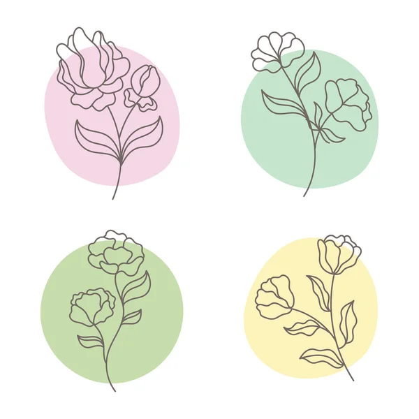 一套附有花卉和植物的插图 分枝与叶子和抽象的彩色圆圈 化妆品的标志 白色背景上孤立的装饰元素 — 图库矢量图片