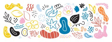 Soyut bitki elementleri, karalama stilinde düz ve kıvrımlı çizgiler. Noktalar ve daireler. Beyaz bir arka planda izole edilmiş. Organik şekiller.