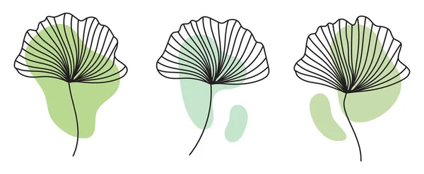 Ensemble Illustrations Silhouettes Feuilles Ginkgo Avec Des Taches Abstraites Dans — Image vectorielle